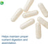 Nutra BioGenesis PanZyme - B Vitamins, Betanine HCl, and Pancreatin Digestive Enzymes, 180 Capsules