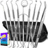 Dental Tools, 10 Pack Professional Plaque Remover, Stainless Steel Dental Hygiene Kit with Case