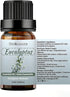 Set, Set 2 10 ml Sedbuwza Lavender Eucalyptus Essential Oil Lavender Fragrance Oil Eucalyptus Scent Oil for Diffuser