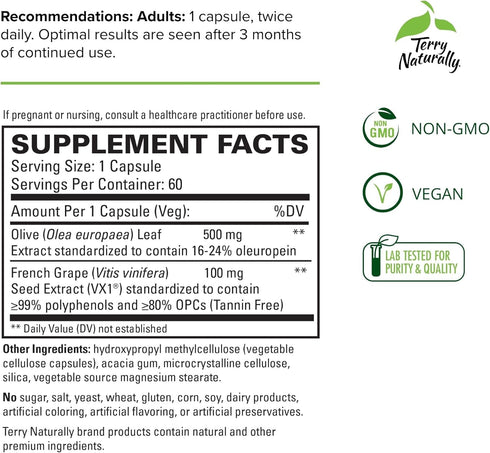 Terry Naturally Blood Pressure Health - 60 Vegan Capsules for Healthy Circulation & Blood Pressure Levels - Non-GMO,