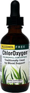 Herbs Etc. ChlorOxygen Chlorophyll Concentrate, 2 fl oz, Energy Support