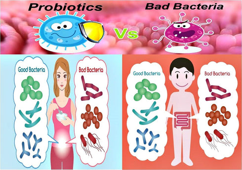 Kid 1-12 Years Probiotic - 2 Billion, 60g