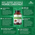 Zazzee Extra Strength Horse Chestnut 10:1 Extract, 3000 mg, 120 Vegan Capsules, 4 Month Supply