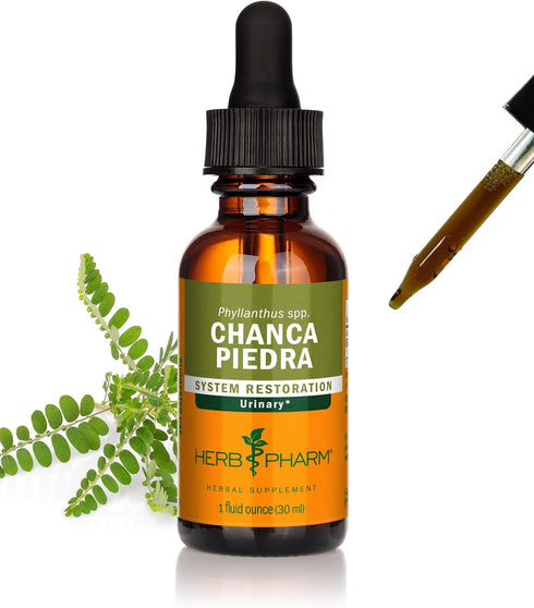 Chanca Piedra Liquid Extract for Urinary System Support, 1 Fl Oz by Herb Pharm