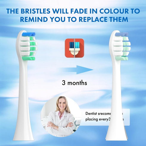 Sonicare10 Pack 4100 5100 6100 HX9023/65 Replacement Toothbrush Heads Compatible with Philips Soft Replacement Electric