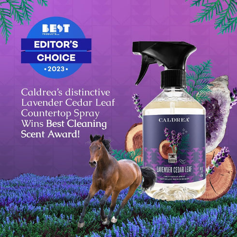 Caldrea Multi-surface Countertop Spray Cleaner, Lavender Cedar Leaf Scent, 16 Oz Made with Vegetable Protein