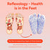 2 Pairs Reflexology Foot Massage Socks with Trigger Point Tool, Foot Pain Relief for Women and Men (Women)