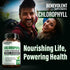 Benevolent Chlorophyll Capsules 700mg - 100% Natural for Energy Boost and Immune Support