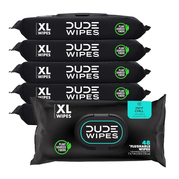 DUDE Wipes - Flushable Wipes - 6 Pack, 288 Wipes - Mint Chill Extra-Large Adult Wet Wipes