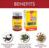 High Strength Fargelin Herbal Supplement by Solstice Medicine Company, 180 Tablets