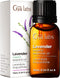 Gya Labs Organic Lavender Essential Oil - 100% Natural for Diffuser & Skin, Aromatherapy & Relaxation, 0.34 fl oz