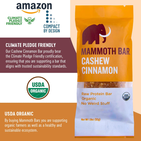 Mammoth 10-12g 1.8 Oz. (10 Cashew Cinnamon Bar- Organic, Paleo, Gluten Free and Raw by Bar, Protein, Bar Bars)