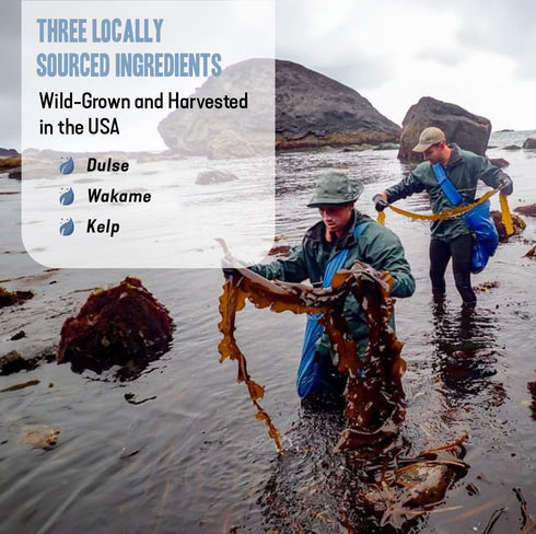 Dr. Cowan’s Garden Sea Vegetable - Pure Wild Harvested Atlantic Seaweed & Kelp Powder, Healthy Supplement