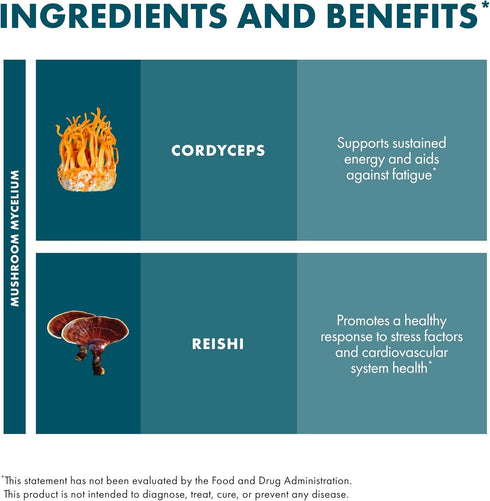 Immune 2 oz (60 Host Defense CordyChi Extract - Energy & Support Supplement - Cordyceps & Reishi Mushroom Supplement
