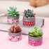 Set, 4 Pack 4.4 oz Tuitessine Valentines Day Scented Candle Gift Aromatherapy Made from Essential Oil, Candles for Home