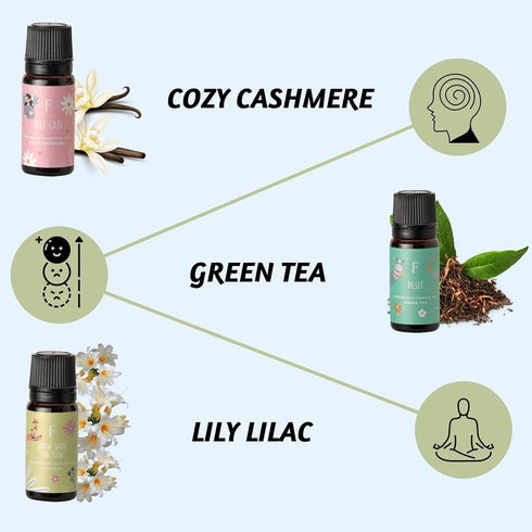 Set 6 Set Folkulture Essential Oils | Relaxing Fragrance Oils for Diffusers | Green Tea, Cashmere, Ocean Salt and More|