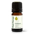 Plant Therapy Cardamom Essential Oil – 5 mL (1/6 oz) 100% Pure, Undiluted, Therapeutic Grade