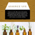 Vanilla Essential Oil 10ml - 0.33 Fluid Ounces