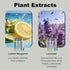 LOMDC 2 Pack, etc.Y12B Waterless Essential Oil Diffuser, Portable Car Diffuser Battery Powered, Mini Scent Air Machine