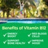 Kids Vitamin B12 1000 mcg Chewable Tablets, 120 Chewables | Tasty Natural Cherry Flavor, Vegan, Gluten Free