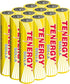 Tenergy Solla AAA Rechargeable NiMH Battery (12 Pack), 600mAh Solar Batteries for Outdoor Solar Lights