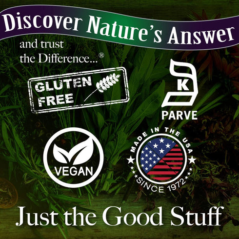 Nature's Answer Dong Quai Root 1000mg | Dietary Supplement for Female Hormone Balance