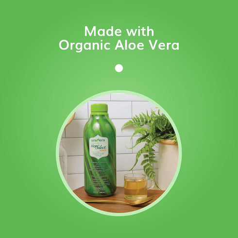 Univera Organic Aloe Vera Juice - Digestive Enzymes for Gut Health, Immune Support, Mango Flavor, 30 Day Supply