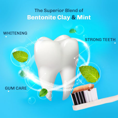 Pack Bentodent Calcium Bentonite Clay Toothpaste Fluoride-Free SLS Free Natural Toothpaste for Family Including Kids