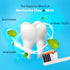 Pack Bentodent Calcium Bentonite Clay Toothpaste Fluoride-Free SLS Free Natural Toothpaste for Family Including Kids