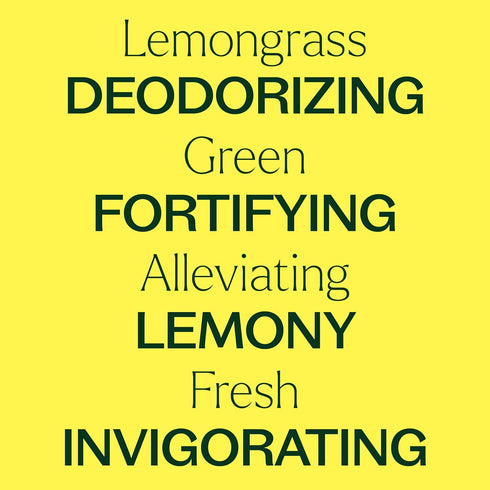 Plant Therapy 100% Pure Lemongrass Essential Oil, Natural Aromatherapy for Diffuser and Skin, 30 mL (1 oz)