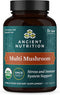 Ancient Nutrition Mushroom Supplement - Organic Multi Mushroom Immune Support Tablet, Gluten Free, 60 Count