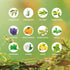 KOURUILIFE Set, 100% (12) Essential Oils Organic Essential Oil, Lavender, Ylang Ylang, Tea Tree, Eucalyptus Scented