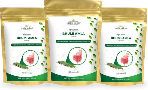 Organic Bhumi Amla Powder - Rich in Antioxidant Vitamin C, Supports Healthy Immune Function, 100Gm (Pack of 3)