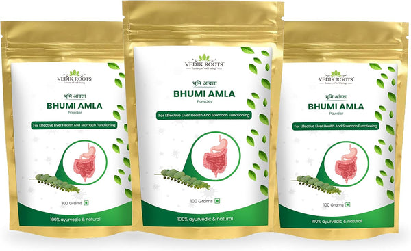 Bhumi Amla Powder 100 Grams | Phyllanthus Niruri | Pure Herbal Supplement | Antioxidant for Liver & Kidney Health