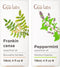 Frankincense Oil for Skin & Peppermint Essential Oil for Diffuser Set -
