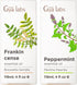 Frankincense Oil for Skin & Peppermint Essential Oil for Diffuser Set -