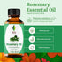 SVA Rosemary Essential Oil – 1 Fl Oz – 100% Natural for Hair, Face, Skin Care, Aromatherapy