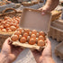 MIXTRYUS 12 Count, 50 Pack Egg Cartons Cardboard Egg Cartons Cheap Bulk, Reusable Paper Egg Holder for Supermarkets