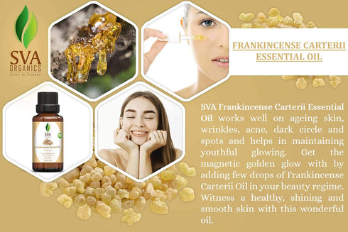 SVA Frankincense Essential Oil, 1/3 Oz (Boswelia Carterii) - 100% Pure, Natural for Skin and Hair Care