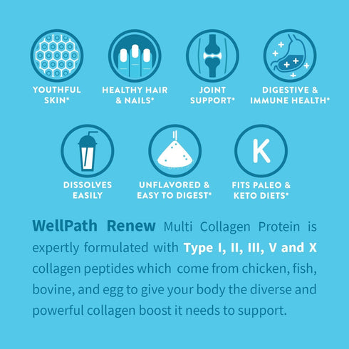 WellPath Renew Collagen for Women – Multi Collagen Peptides Protein Powder | Hydrolyzed Grassfed, 11 oz