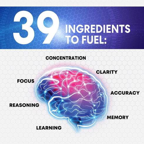 Brain Supplements for Memory and Focus - Nootropic Support with Bacopa, Cognitive Vitamins, 120 Capsules