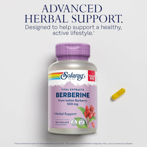 SOLARAY Berberine 500mg Supplement for Healthy Lifestyle, Vegan & Non-GMO, 100 Servings