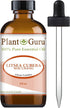 Litsea Cubeba (May Chang) Essential Oil 4 oz 100% Pure Undiluted Therapeutic Grade