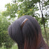Yeshan 3.2" Plastic Hair Side Comb with Teeth Comb HairPin Clip for Women, Brown (12pcs)