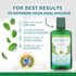 Auromere Ayurvedic Mouthwash, Vegan, Fluoride Free, Alcohol Free, Natural, Non-GMO (16 fl oz), 1 Pack