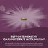 Nature's Way Gymnema Capsules, 500 mg per serving, 60 Count