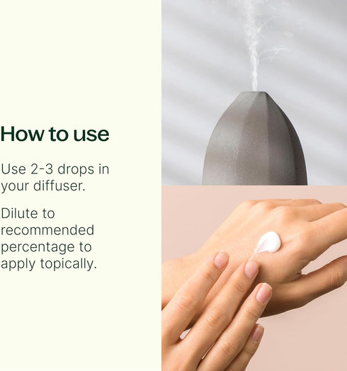 Set 10 mL (1/3 oz) Plant Therapy Sleep Easy Essential Oil Blend Each of Relax, Sleep Tight & Unwind, Pure, Undiluted