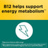 Nature Made Digestive Probiotics and Energy B12 Gummies - 50 Probiotic Gummies, 25 Day Supply