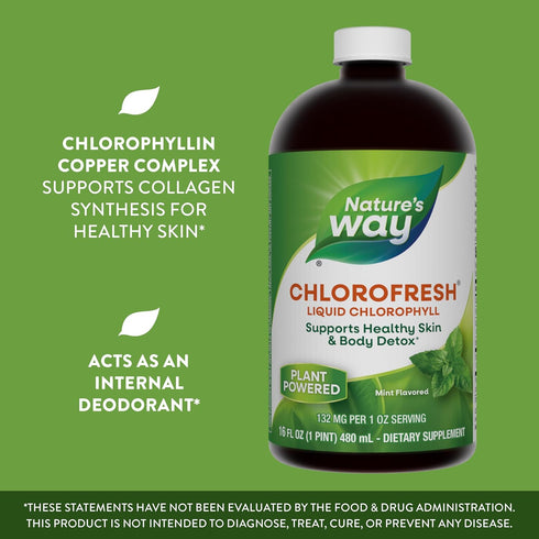 Nature's Way Chlorofresh Liquid Chlorophyll - 16 Fl. Oz Mint Flavored for Skin & Body Detox Support