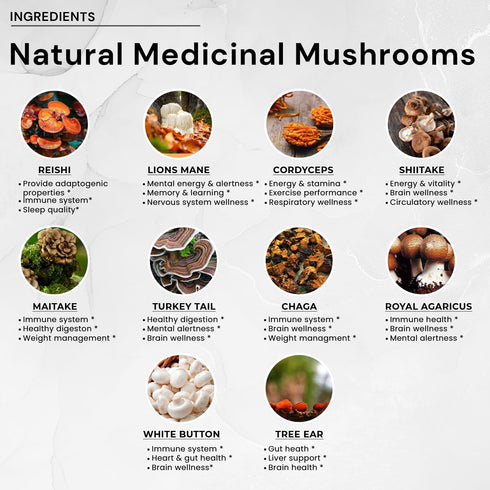 ACEWORKZ 10 Mushroom Complex Supplement - Lion’s Mane, Reishi, Cordyceps & More for Brain Health, Memory & Focus (90
